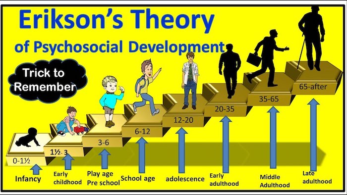 Eriksons Psychosocial Stages