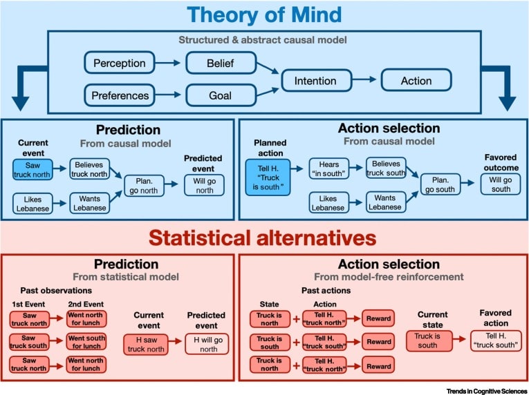 Cognitive science of theory of mind