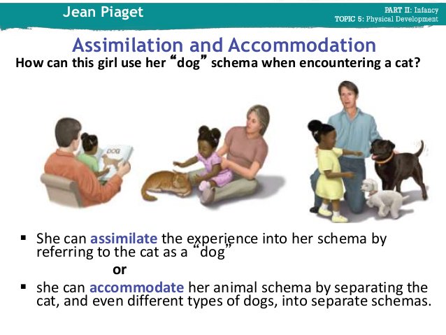 Difference between assimilation and accommodation