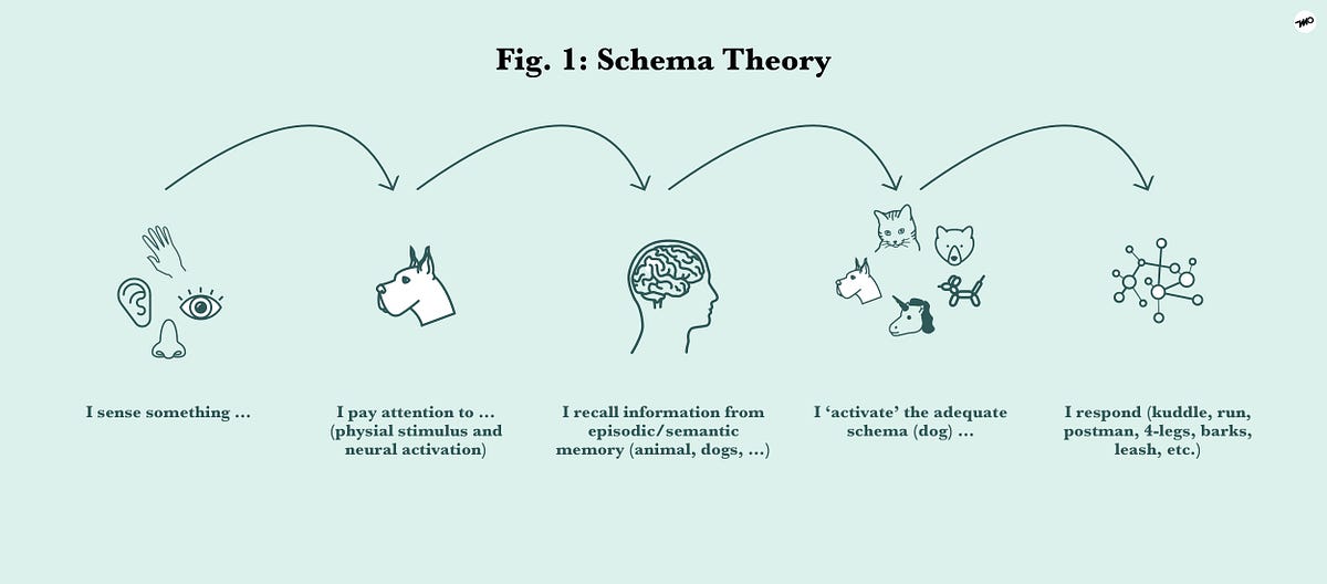 What is a schema