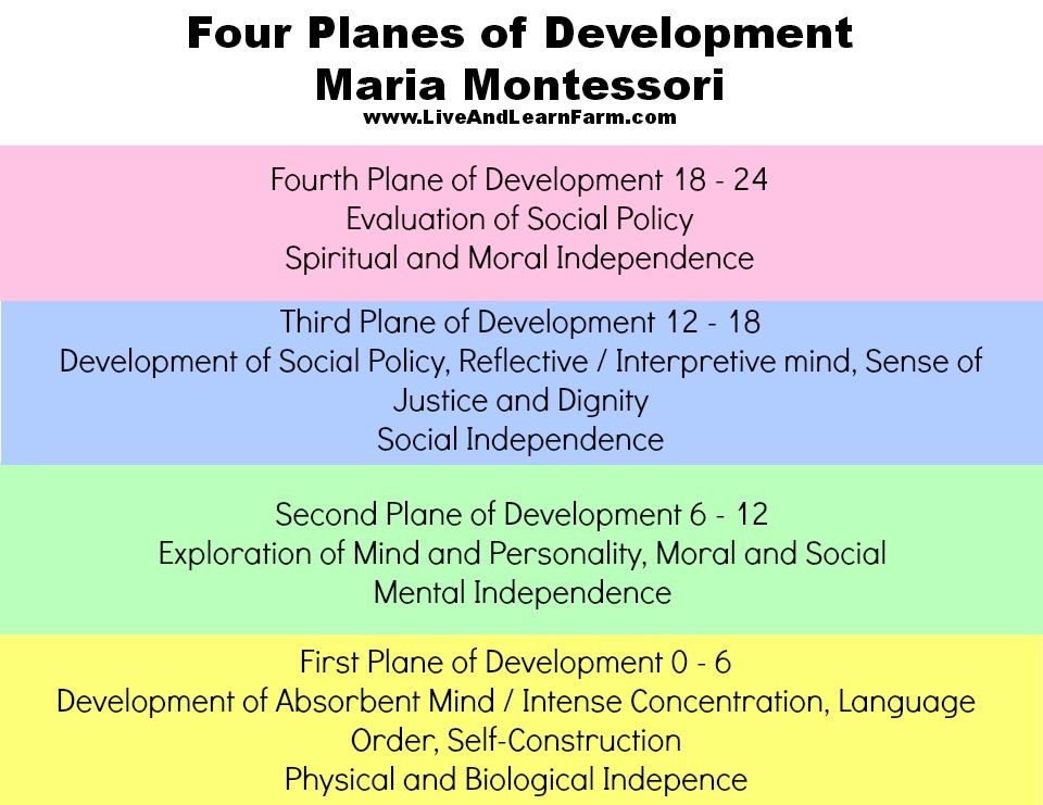 Montessori development stages