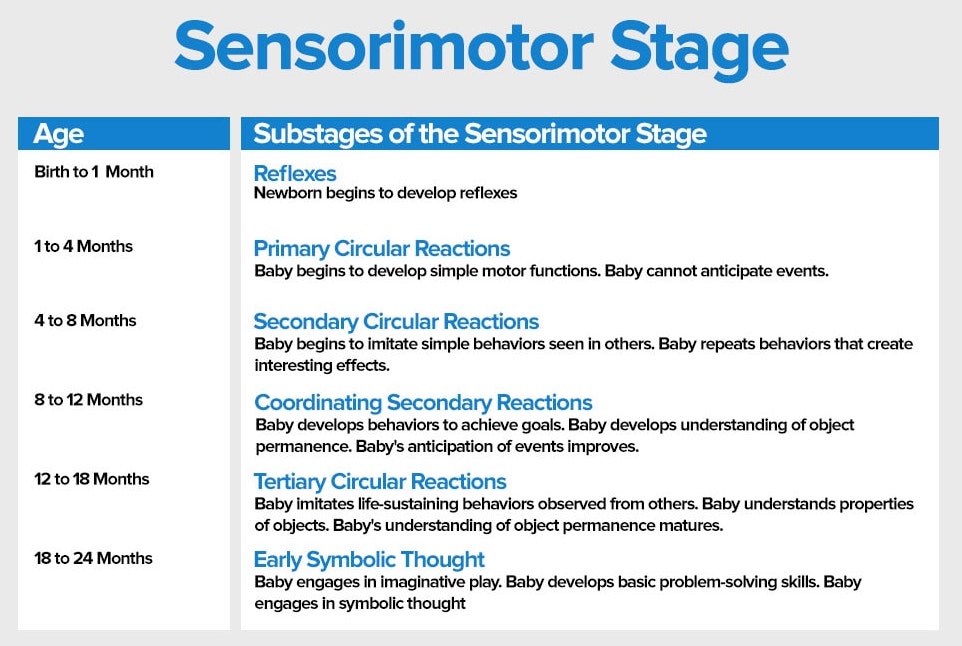 sensorimotor stage