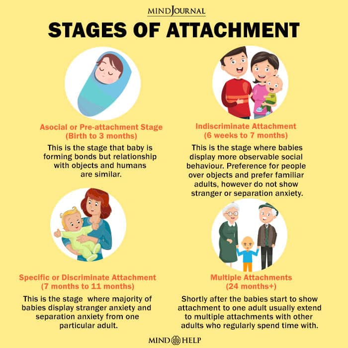 John Bowlbys Stages of Attachment