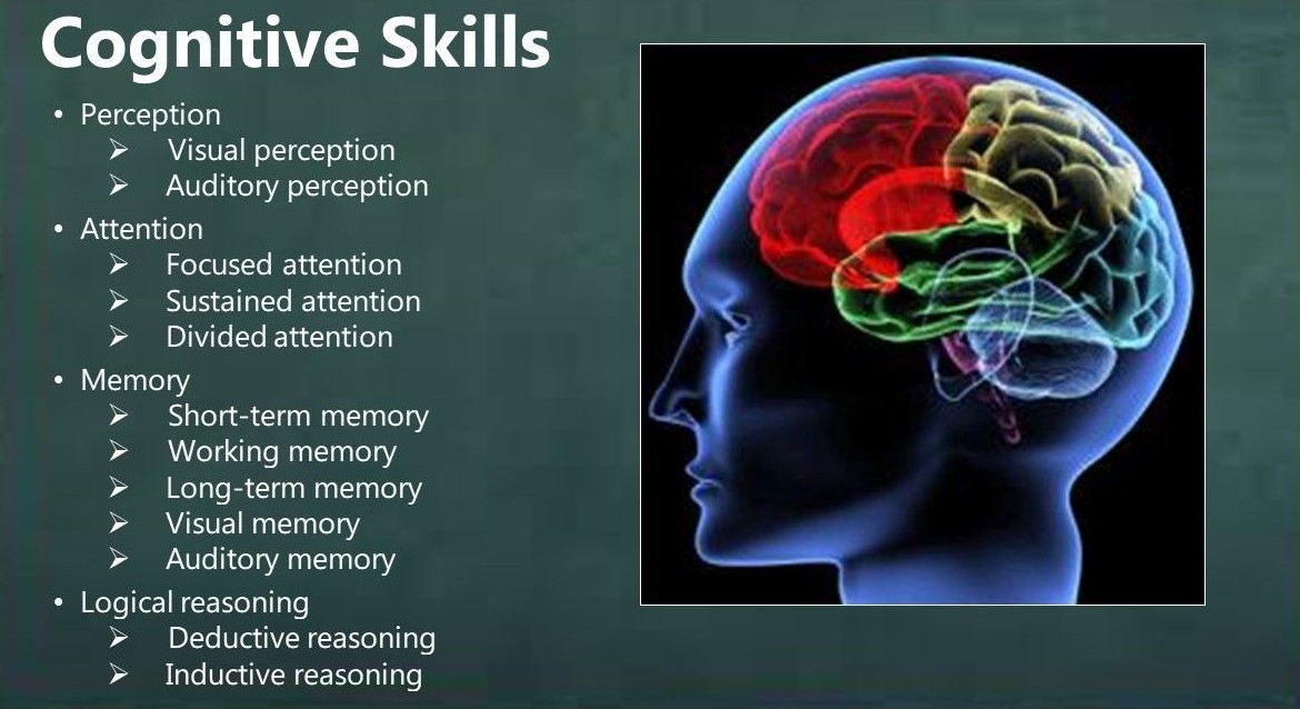 Cognition skills