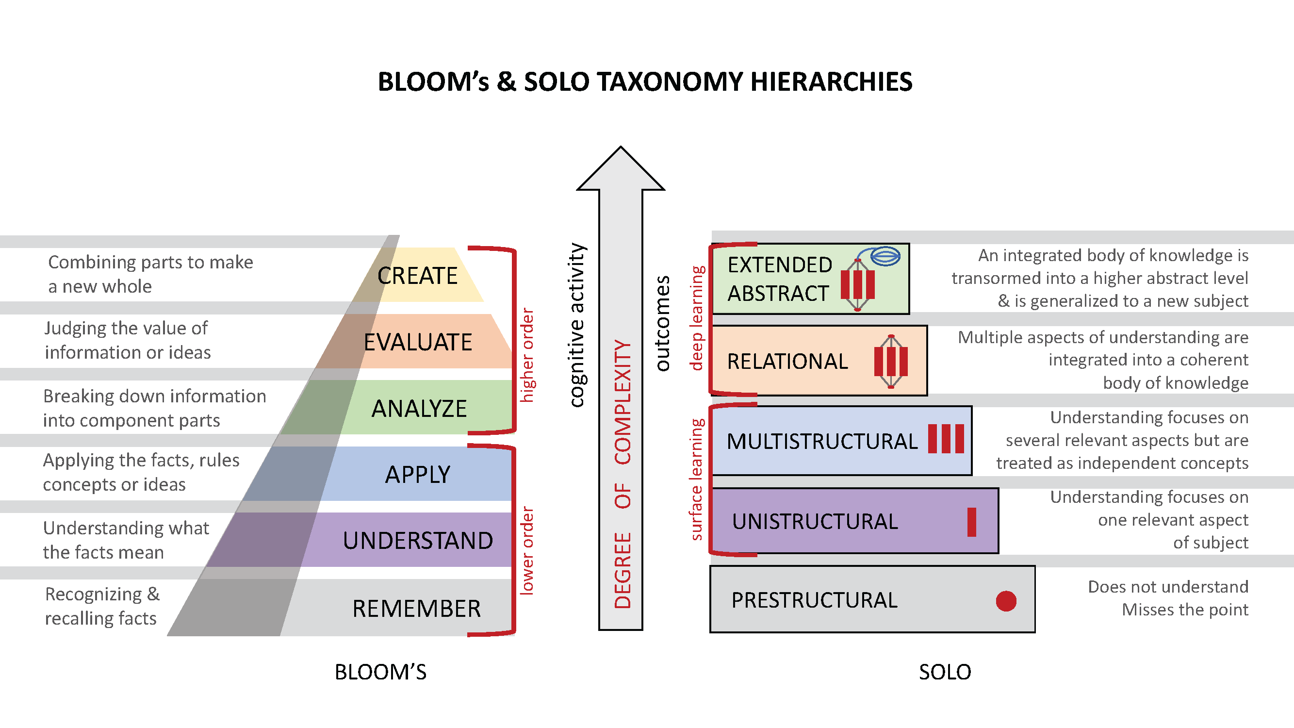 Solo taxonomy and blooms