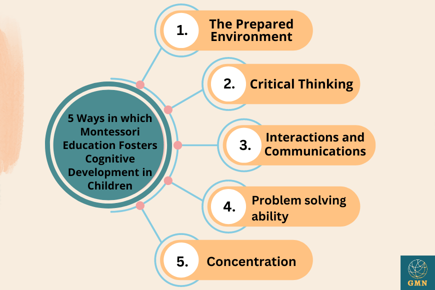 Montessori cognitive development