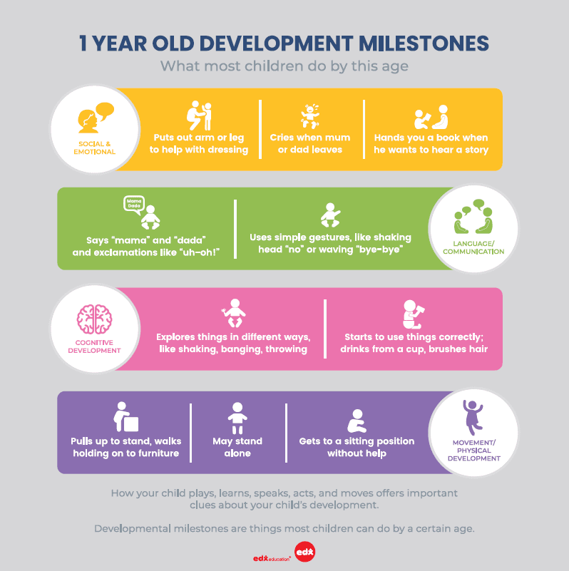 Milestones in Cognitive Development During the First Year