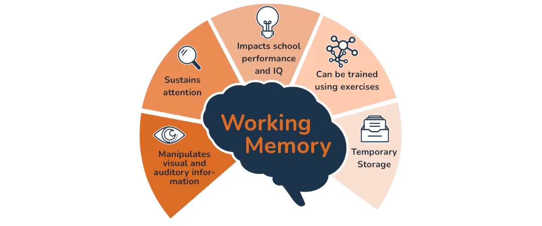 Cognition memory and learning