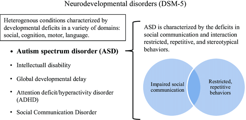 Neurodevelopmental Disorders DSM