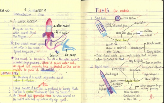 illustrated learning journal