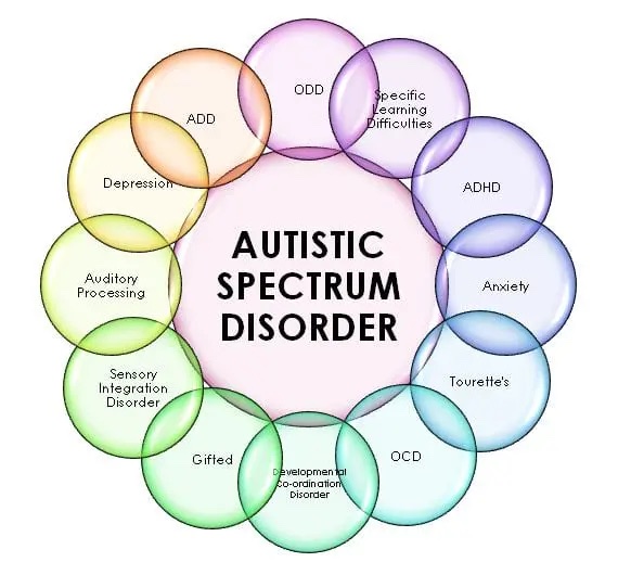 Educational Psychologists can diagnose Autism Spectrum Disorders