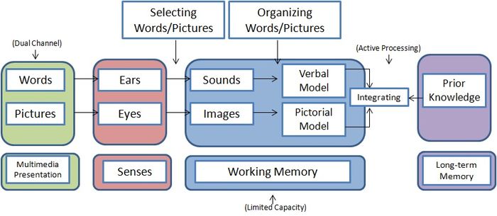 Reducing cognitive load using multimedia principles