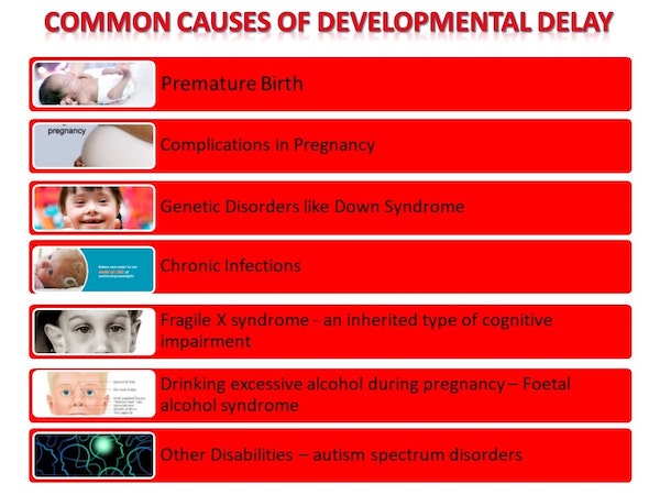 Common causes of developmental delay