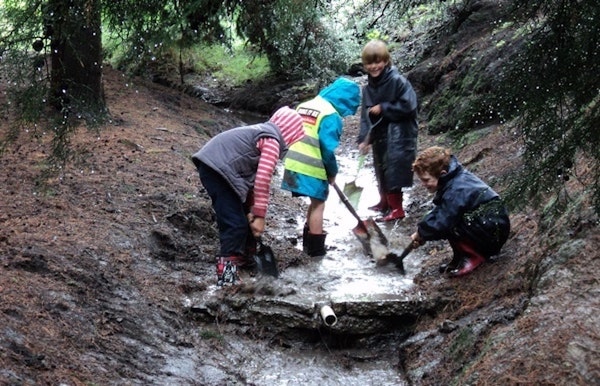 Outdoor learning activities in Forest schools