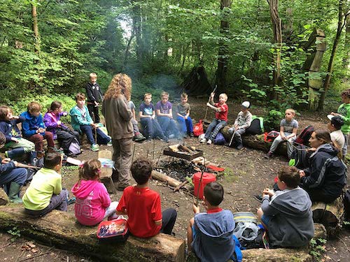 Impact of forest schools