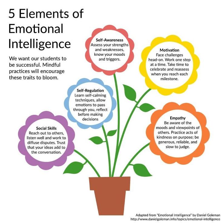 Supporting emotional intelligence