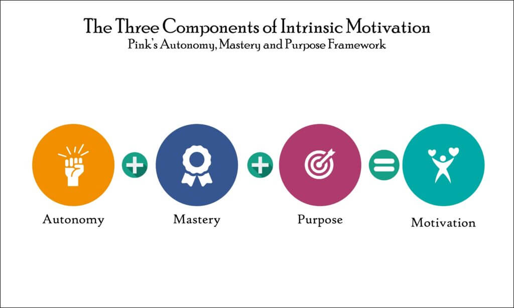 Intrinsic Motivation Factors