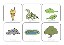 Twinkl flashcards are a useful manipulative tool for home learning