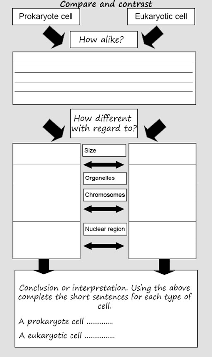 Compare and contrast writing frame