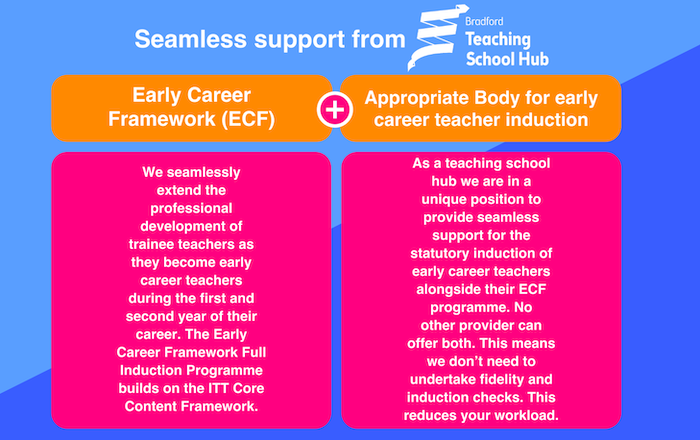 Teaching School Hubs support the current induction process