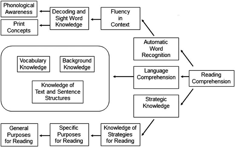 Model of reading comprehension