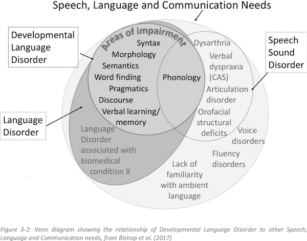 Relationships amongst developmental language disorders