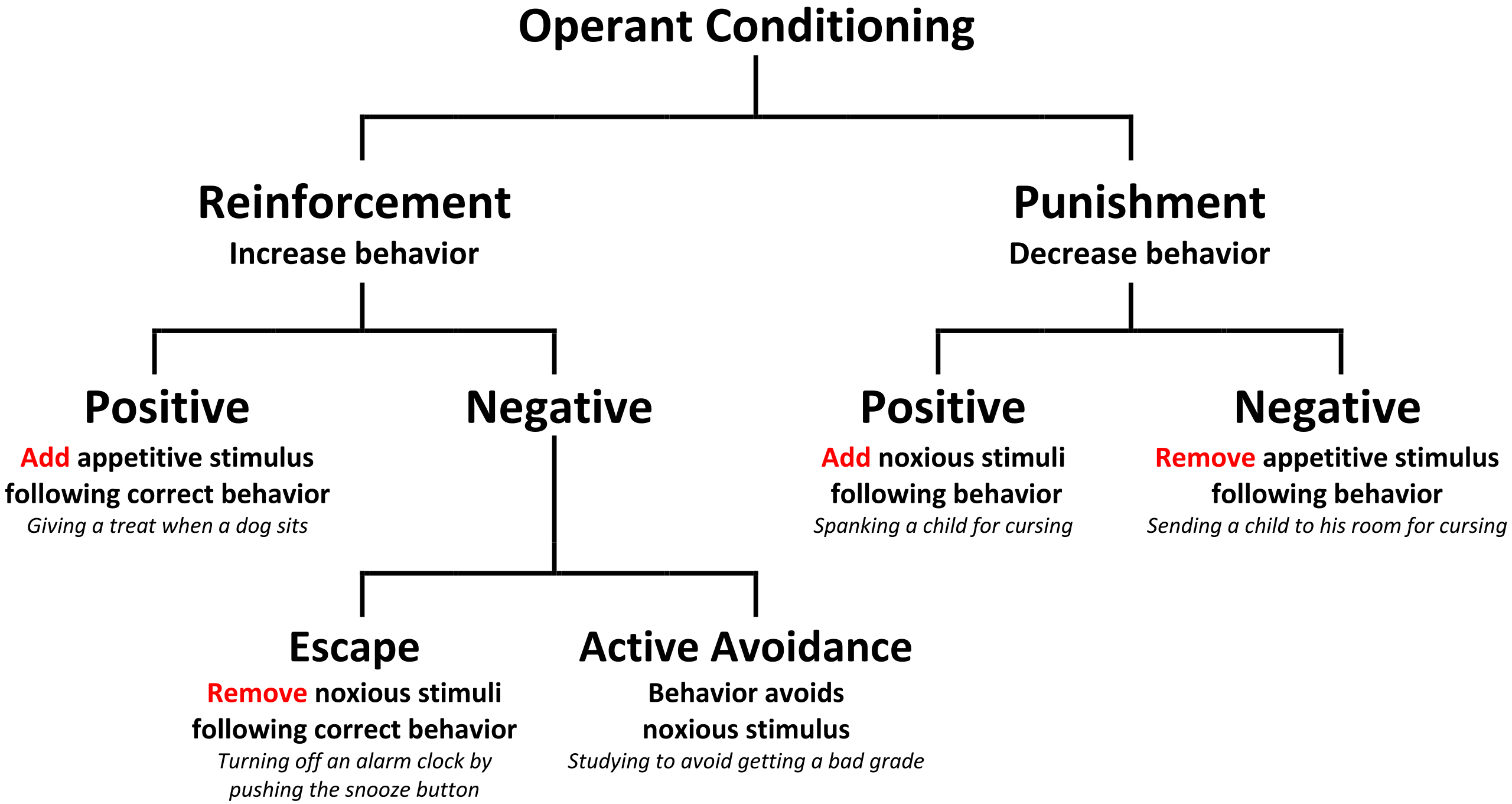 What is operant conditioning