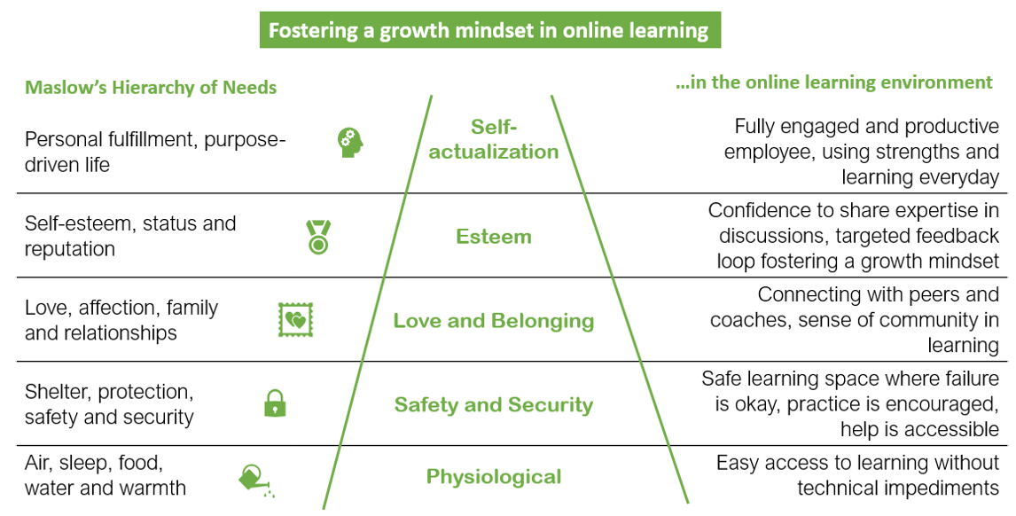 Growth Mindset in online learning