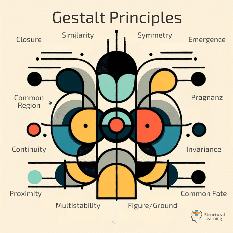 Gestalt Psychology Principles