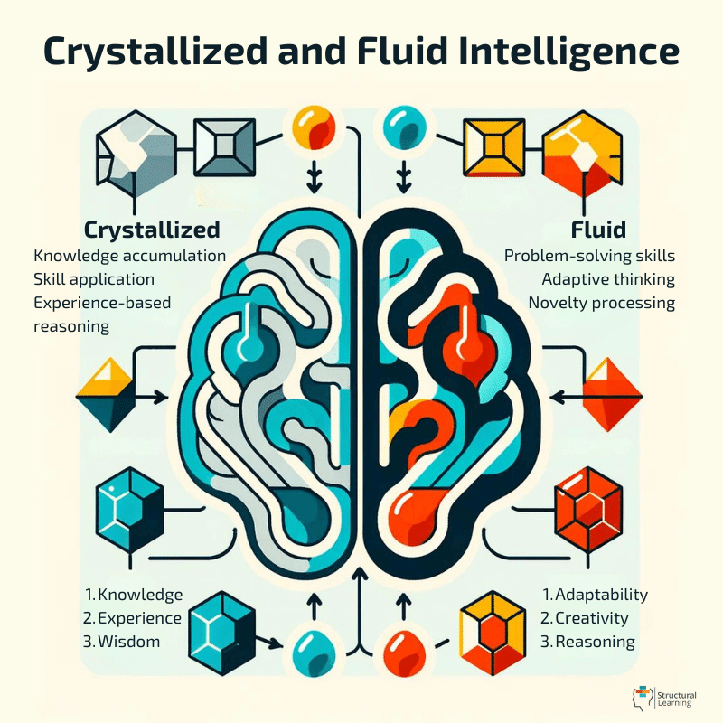 Crystallised and Fluid Intelligence